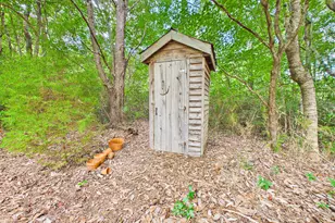 360 Parks Rd, Butler, GA 31006 - Photo 76