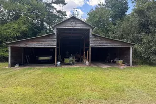 360 Parks Rd, Butler, GA 31006 - Photo 20