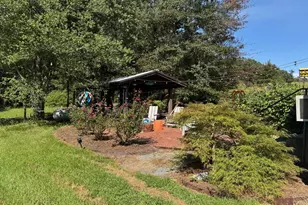 360 Parks Rd, Butler, GA 31006 - Photo 14