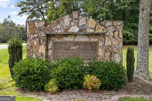 123 Lone Oak Dr, Blue Ridge, GA 30513 - Photo 44