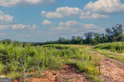 Tract 1 Highway 0036, Woodland, GA 31836 - Photo 4