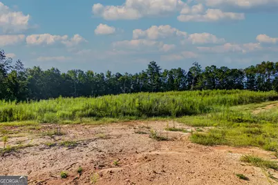 Tract 1 Highway 0036, Woodland, GA 31836 - Photo 8