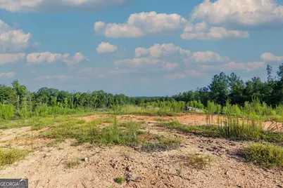 Tract 1 Highway 0036, Woodland, GA 31836 - Photo 6