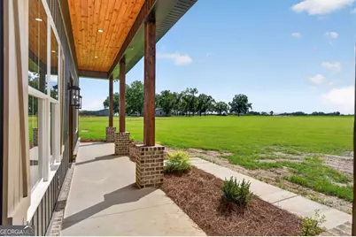 3634 Highway 121, Blackshear, GA 31516 - Photo 2