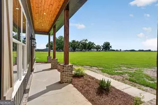 3634 Hwy 121, Blackshear, GA 31516 - Photo 2