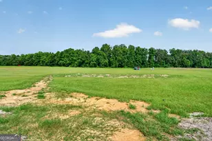 3634 Hwy 121, Blackshear, GA 31516 - Photo 54