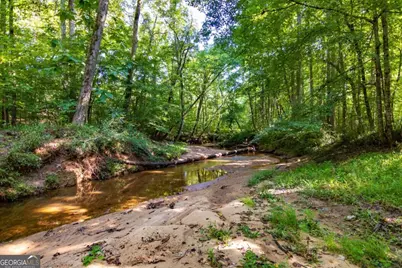 Tract 2 Highway 0036, Woodland, GA 31836 - Photo 16