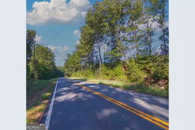 Tract 2 Highway 0036, Woodland, GA 31836 - Photo 2