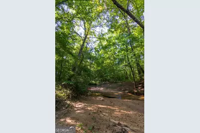 Tract 2 Highway 0036, Woodland, GA 31836 - Photo 20