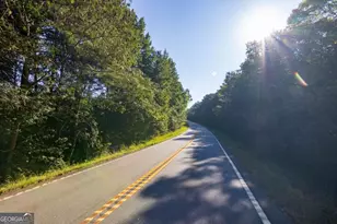 Tract 2 Hwy 0036, Woodland, GA 31836 - Photo 1