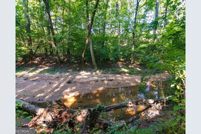 Tract 2 Highway 0036, Woodland, GA 31836 - Photo 14