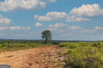 Tract 2 Highway 0036, Woodland, GA 31836 - Photo 6