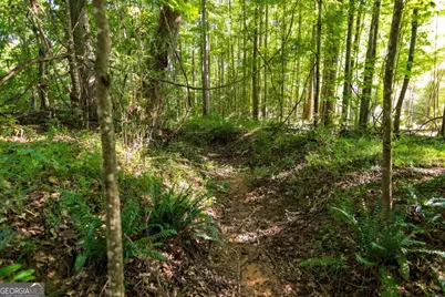 Tract 3 Highway 0036, Woodland, GA 31836 - Photo 24