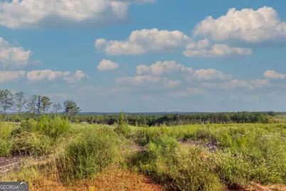 Tract 3 Highway 0036, Woodland, GA 31836 - Photo 12