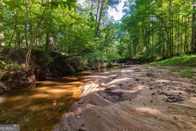 Tract 3 Highway 0036, Woodland, GA 31836 - Photo 20