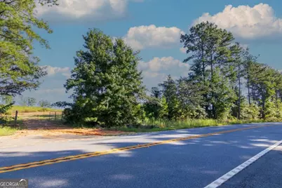 Tract 3 Highway 0036, Woodland, GA 31836 - Photo 8