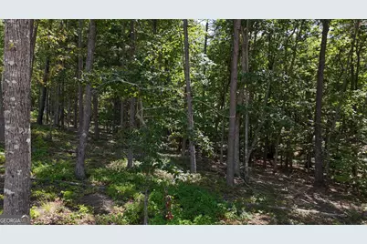0 Sautee Ridge Road, Clarkesville, GA 30523 - Photo 6