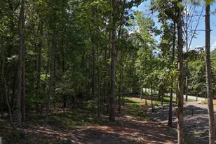 0 Sautee Ridge Rd, Clarkesville, GA 30523 - Photo 1