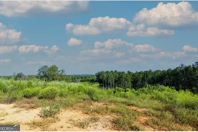Tract 4 Highway 0036, Woodland, GA 31836 - Photo 6
