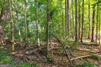 Tract 4 Highway 0036, Woodland, GA 31836 - Photo 22