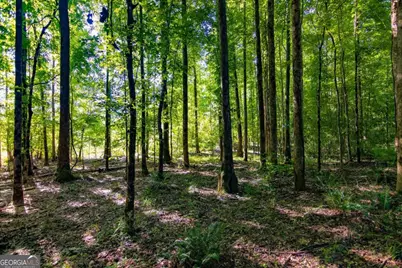 Tract 4 Highway 0036, Woodland, GA 31836 - Photo 24