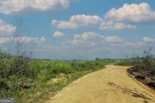 Tract 4 Hwy 0036, Woodland, GA 31836 - Photo 1