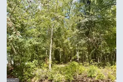 Lot 18 Old Mill Way, Statesboro, GA 30461 - Photo 6
