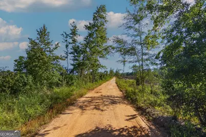 Tract 5 Carlisle Gap Road, Woodland, GA 31836 - Photo 2