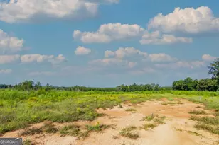 Tract 5 Carlisle Gap Rd, Woodland, GA 31836 - Photo 1