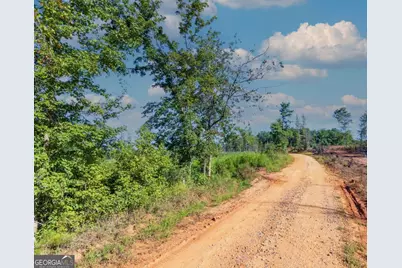 Tract 6 Carlisle Gap Road, Woodland, GA 31836 - Photo 2