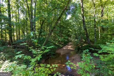 Tract 6 Carlisle Gap Road, Woodland, GA 31836 - Photo 6