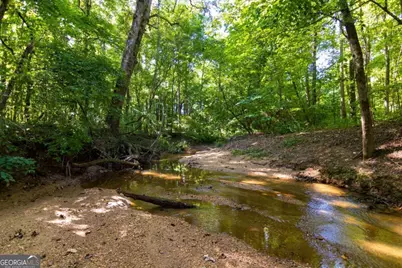 Tract 6 Carlisle Gap Road, Woodland, GA 31836 - Photo 12