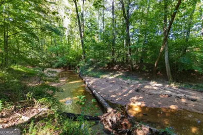 Tract 6 Carlisle Gap Road, Woodland, GA 31836 - Photo 8