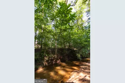 Tract 6 Carlisle Gap Road, Woodland, GA 31836 - Photo 14