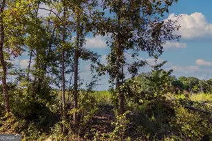 Tract 6 Carlisle Gap Rd, Woodland, GA 31836 - Photo 1
