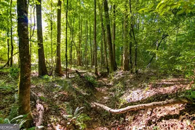 Tract 6 Carlisle Gap Road, Woodland, GA 31836 - Photo 18