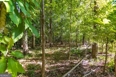 Tract 7 Carlisle Gap Road, Woodland, GA 31836 - Photo 22