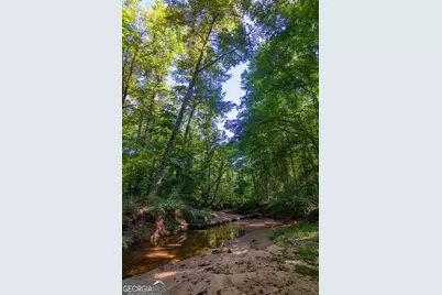 Tract 7 Carlisle Gap Road, Woodland, GA 31836 - Photo 18