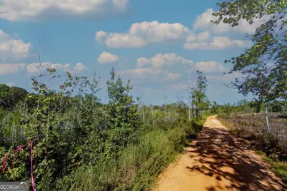 Tract 7 Carlisle Gap Road, Woodland, GA 31836 - Photo 2