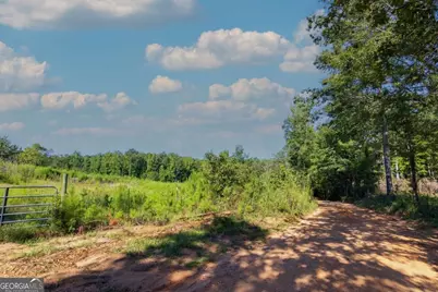 Tract 8 Carlisle Gap Road, Woodland, GA 31836 - Photo 4