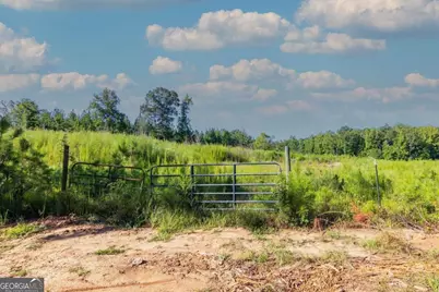 Tract 8 Carlisle Gap Road, Woodland, GA 31836 - Photo 1