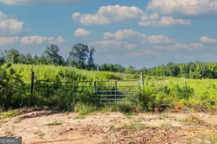 Tract 8 Carlisle Gap Rd, Woodland, GA 31836 - Photo 1
