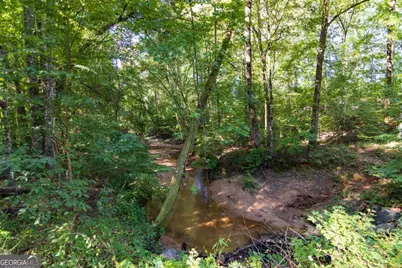 Tract 8 Carlisle Gap Road, Woodland, GA 31836 - Photo 10