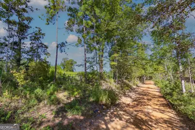 Tract 8 Carlisle Gap Road, Woodland, GA 31836 - Photo 2