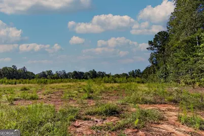 Tract 8 Carlisle Gap Road, Woodland, GA 31836 - Photo 6