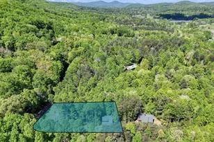 43 Melton Dr, Blairsville, GA 30512 - Photo 60