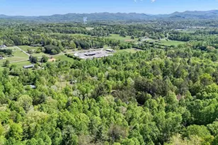 43 Melton Dr, Blairsville, GA 30512 - Photo 58