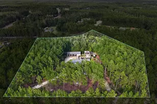 978 Groover Road NE, Ludowici, GA 31316 - Photo 72