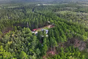 978 Groover Road NE, Ludowici, GA 31316 - Photo 64