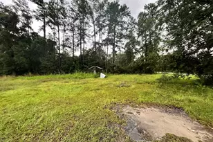 6760 Margaret Dr, Blackshear, GA 31516 - Photo 4